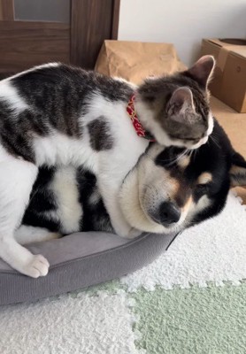 これからは一緒だよ