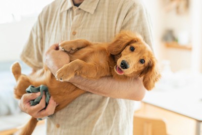 犬を抱っこする男性