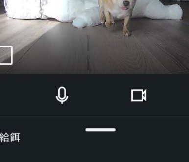 見守りカメラ