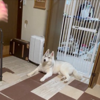 格好いい