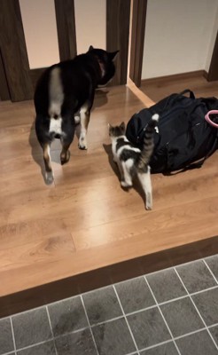 家族として迎えることに♡