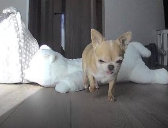 眠たそう