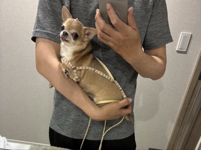 抱っこ