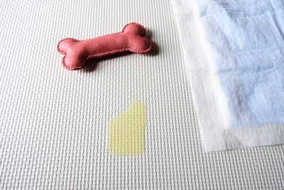 おもちゃ、トイレシート、はみ出した