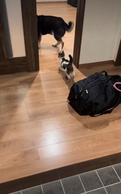 運命的な出会い