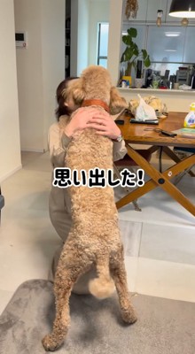 おばあちゃんに飛びつく犬
