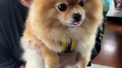 遅れて着いたパパさんをお出迎え