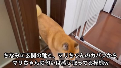 ロックくんが部屋の中へ