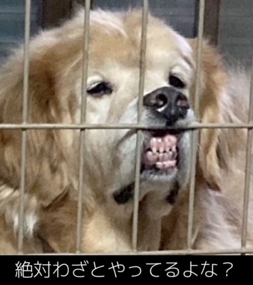 静かに不満をアピール中