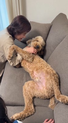 お腹を出して、おばあちゃんに撫でてもらう犬