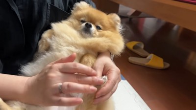 気持ち良さそう♪