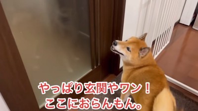 見当違いの場所を探しに行く気満々