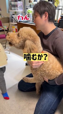 おばあちゃんに向かって吠える犬