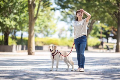 散歩する女性と犬