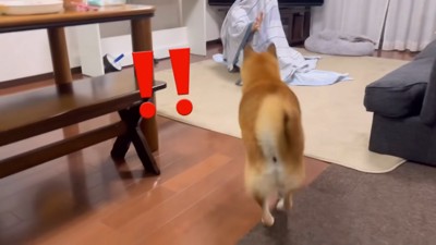 ようやく発見！