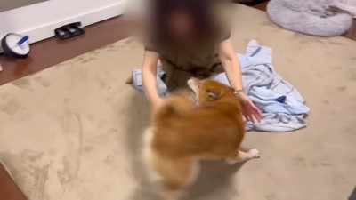 「やっと会えたー♪」と大はしゃぎ