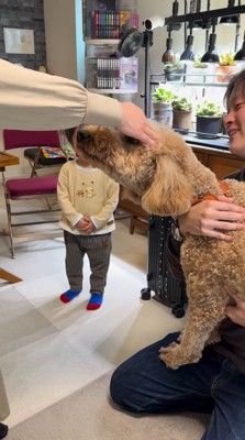 自分の頭を撫でるおばあちゃんを凝視する犬
