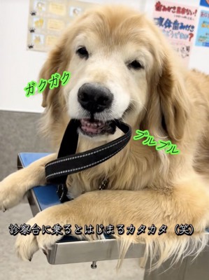 止まらない震え…