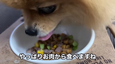 喜んで食べています！