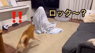 お名前を呼んでみたら…