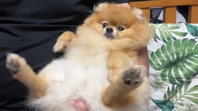 甘えながらまったり♡