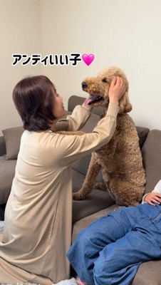 おばあちゃんに顔を撫でられて笑顔の犬
