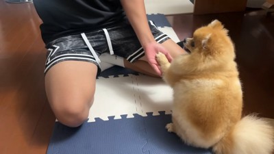 甥っ子くんとの微笑ましい交流