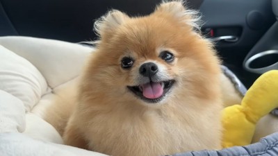 パパさんの実家に向かいます