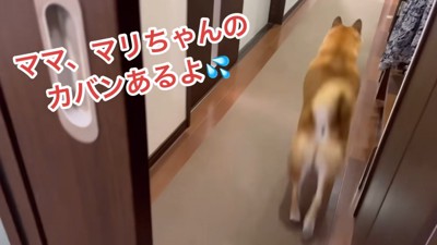 気付かずに出て行ってしまいました！