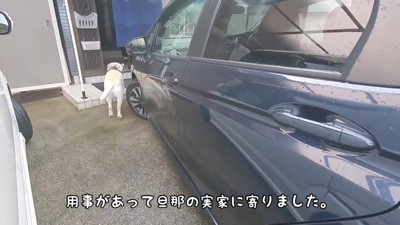 ダッシュで家の中へ