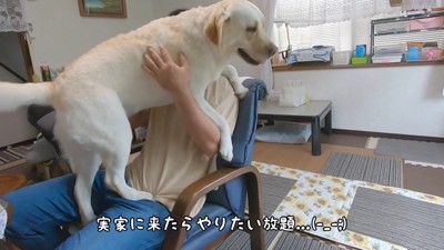 「わたしも抱っこして!」