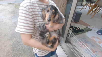 抱っこしたら軽すぎてびっくり!