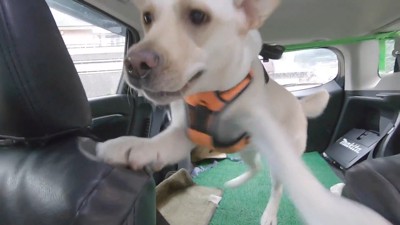 車の中で大興奮!