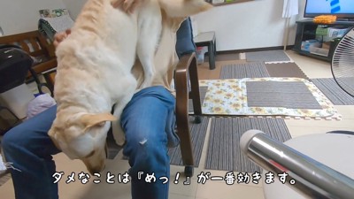 注意したら降りてくれました