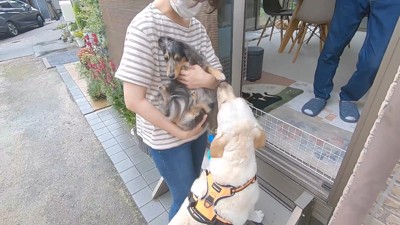 きなこちゃんもココちゃんにご挨拶♪