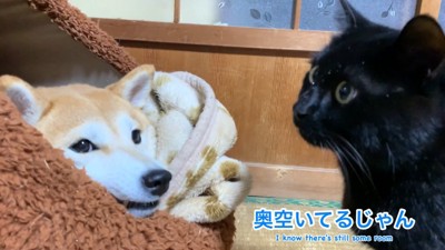 ももちゃんは無視！