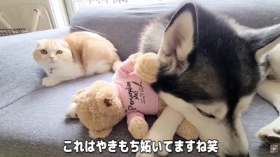 「ねえ、それ僕じゃないよ？」