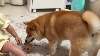 うにくんに奪われた!