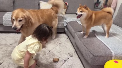 「ほのちゃん、今のうち!」