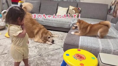 「それはほのちゃんのだよ!」