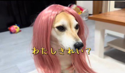 ギャル風に変身！！