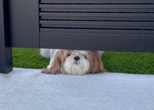 反対側