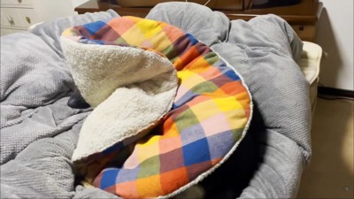 人間並みに体に掛けるのが上手（笑）