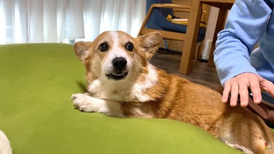 お母さんに触ろうとしたら…