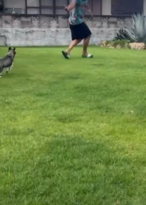 庭で追いかけっこ！？