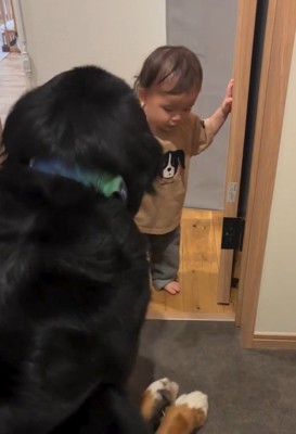 立ち上がるロッキーくん