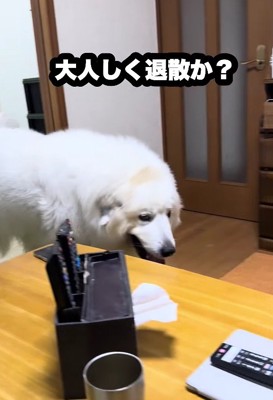 「じいじと遊びたい…」