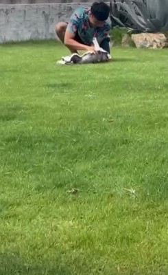 子犬の可愛さにメロメロに♡