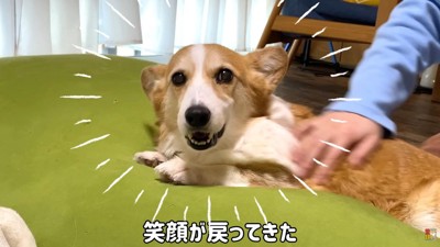 笑顔が戻ったかと思いきや…