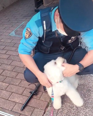 指を甘噛み♡